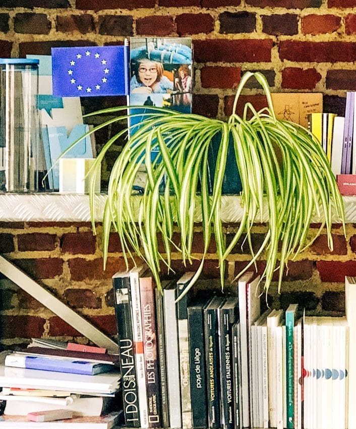 Office shelves